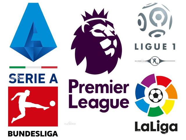 标准化的心 标准化的心